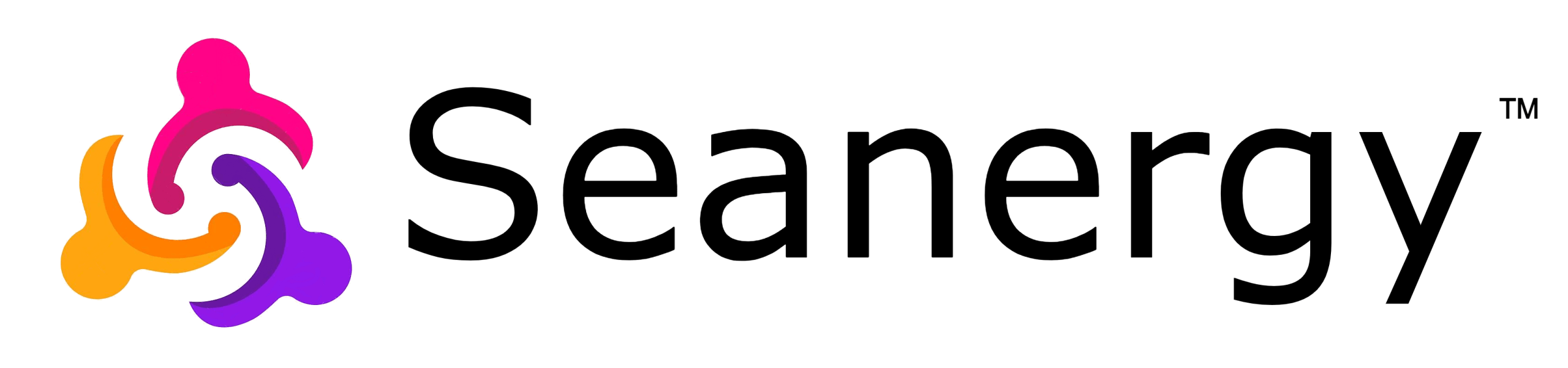 Seanergy Logo